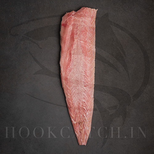 EEL Fish Gutted Hook Catch Seafood